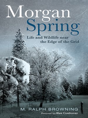 cover image of Morgan Spring